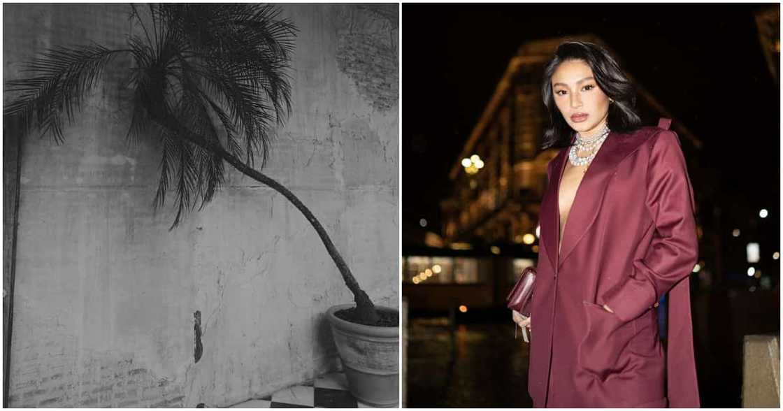 Nadine Lustre, may bagong post: "Di ko na sinama sarili ko para estetik" Nadine Lustre, may bagong post: "Di ko na sinama sarili ko para estetik"