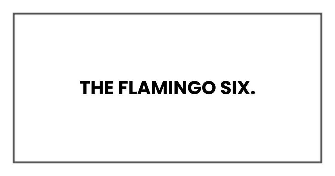 The Flamingo Six.