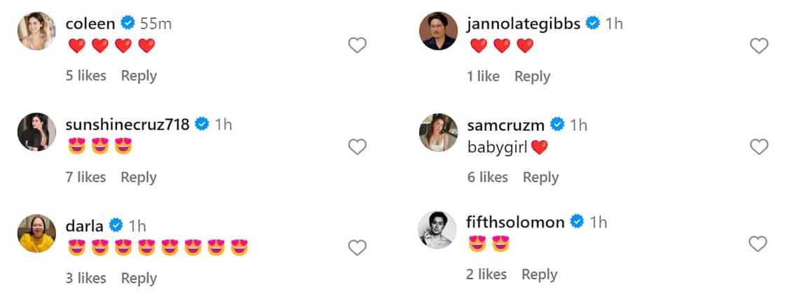 Sunshine Cruz and other celebs react to Diego Loyzaga’s new post about his baby Sunshine Cruz and other celebs react to Diego Loyzaga’s new post about his baby
