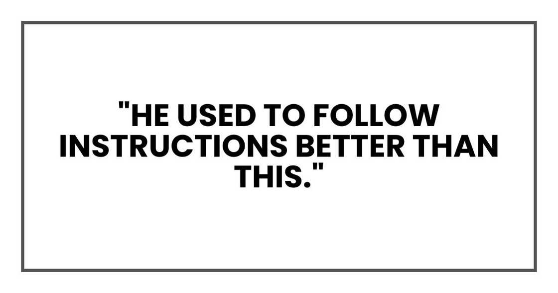 "He used to follow instructions better than this,"