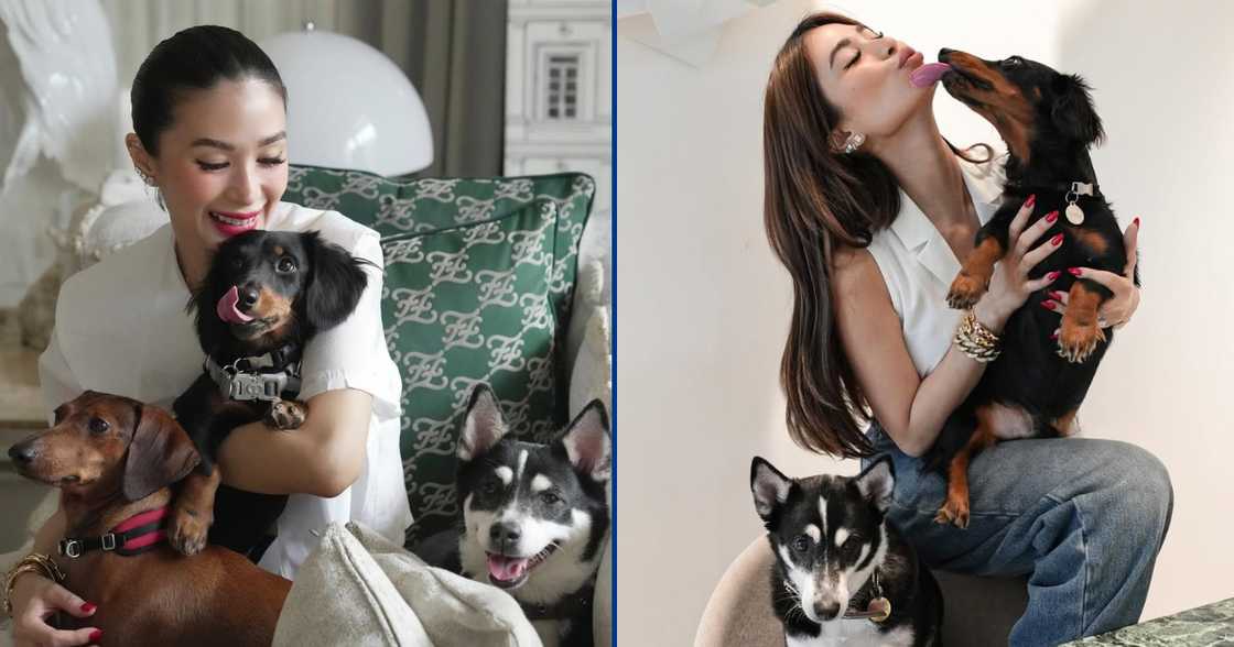 Heart Evangelista, itinuturing na parang sariling anak ang mga inampon na stray animals