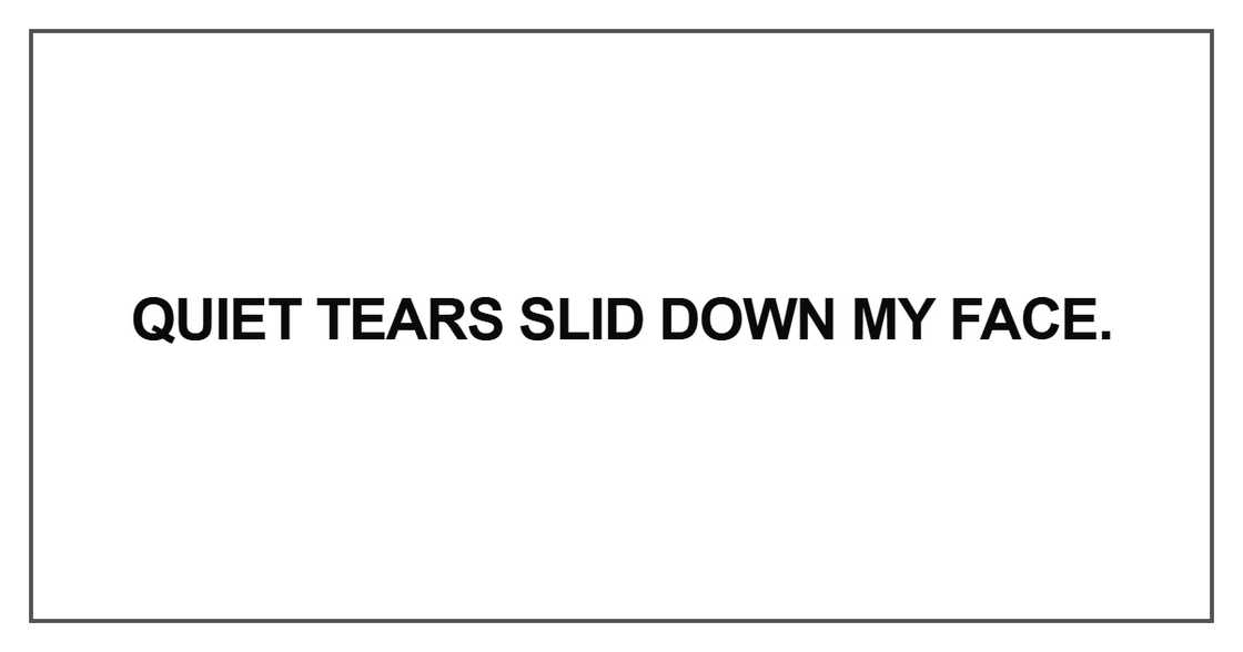 Quiet tears slid down my face