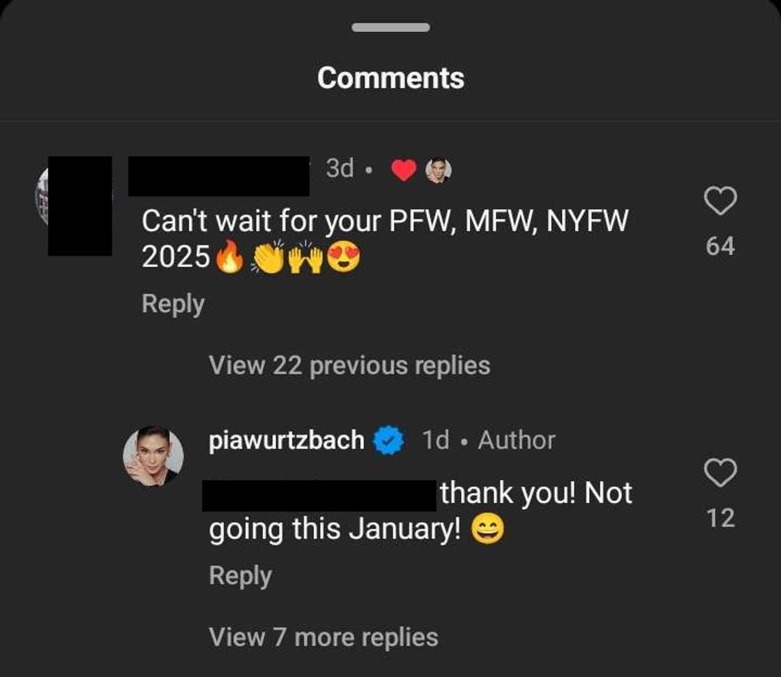 Pia Wurtzbach/@piawurtzbach Pia Wurtzbach/@piawurtzbach