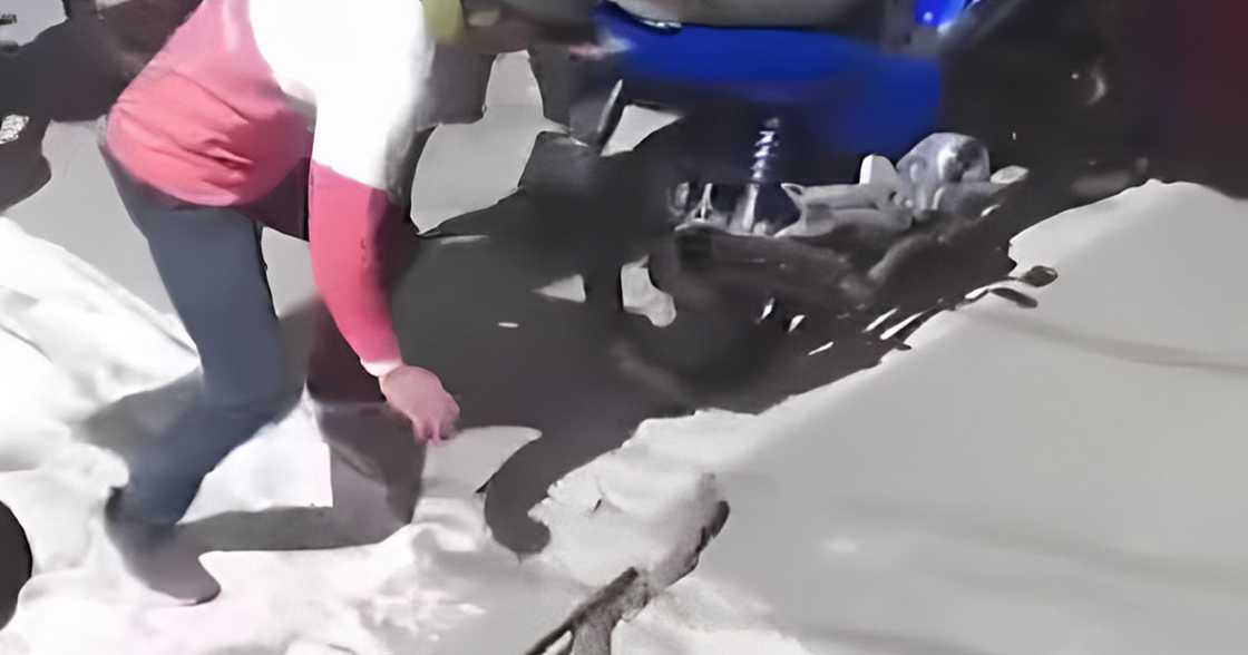 Photo: GMA Integrated News Photo: GMA Integrated News