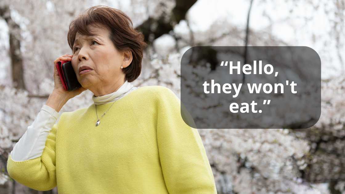 A worried elderly woman on a call