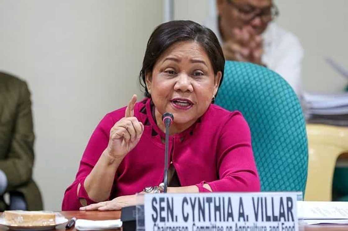 Cynthia Villar education Cynthia Villar education
