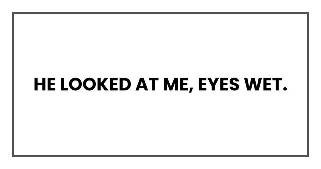 He looked at me, eyes wet. He looked at me, eyes wet.