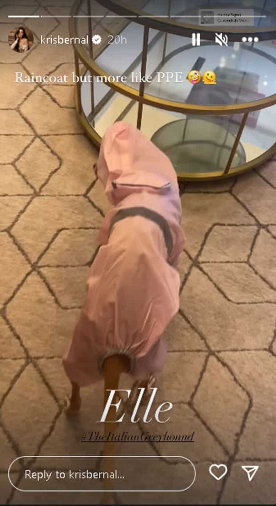 Kris Bernal Kris Bernal