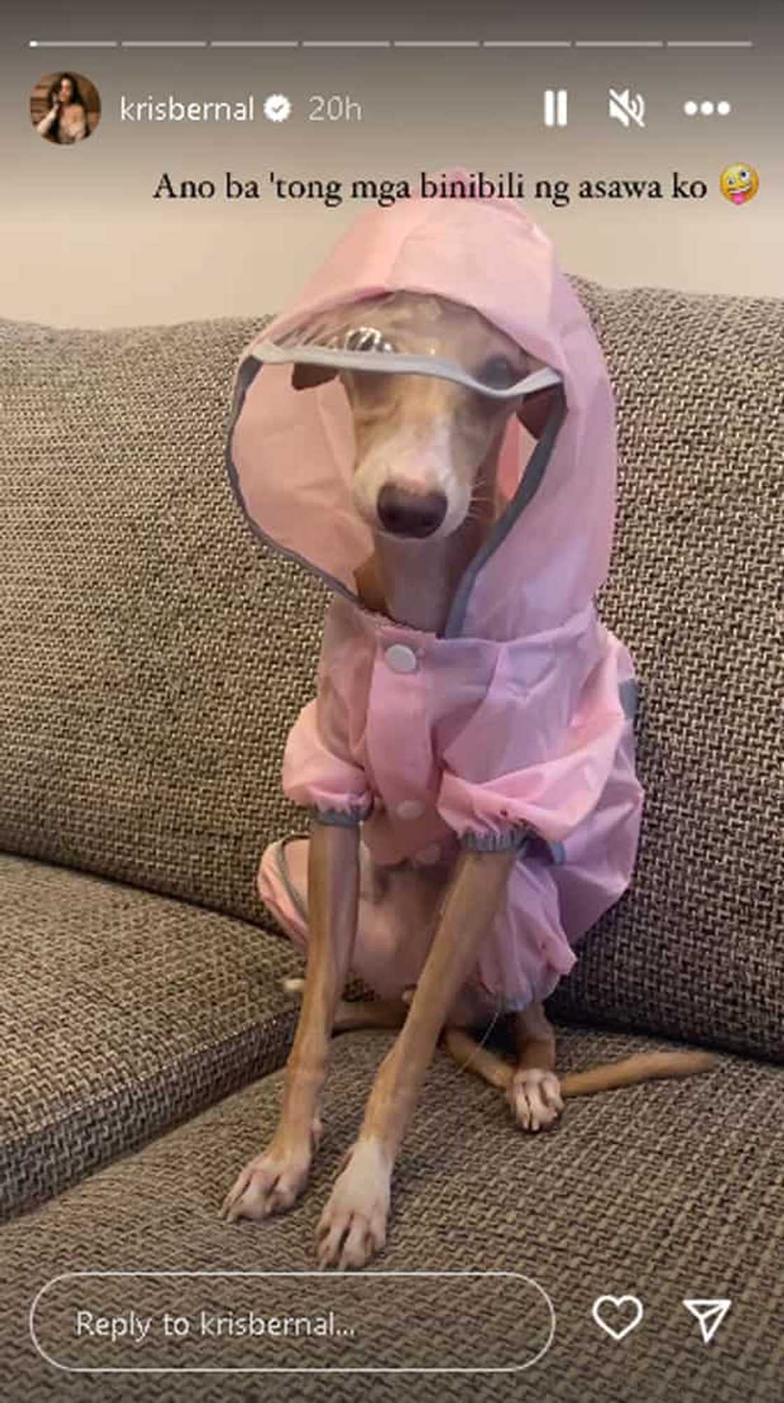 Kris Bernal Kris Bernal