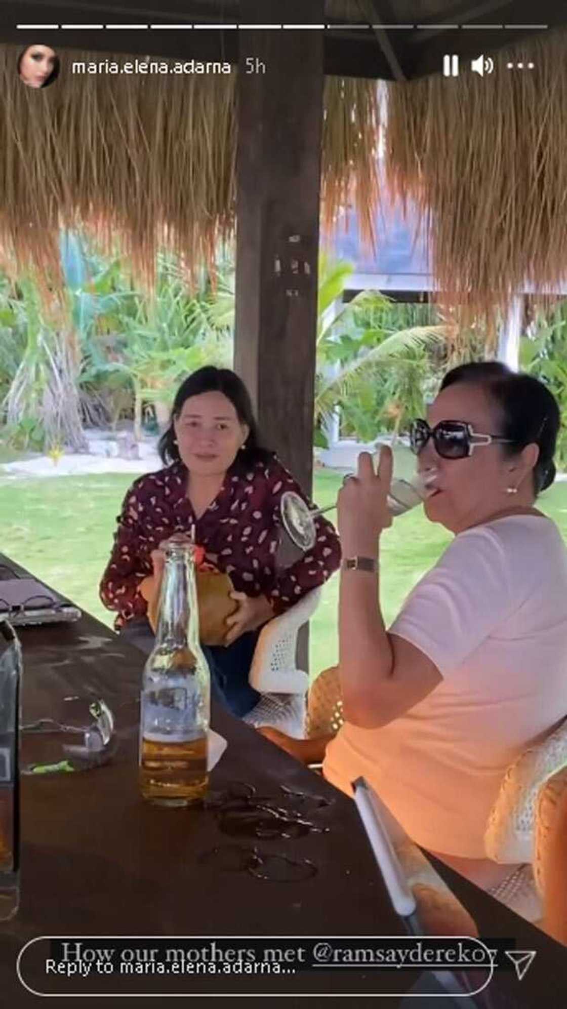 Ina ni Derek Ramsay at ni Ellen Adarna, nagkita na; mag-jowa tuwang-tuwa Ina ni Derek Ramsay at ni Ellen Adarna, nagkita na; mag-jowa tuwang-tuwa