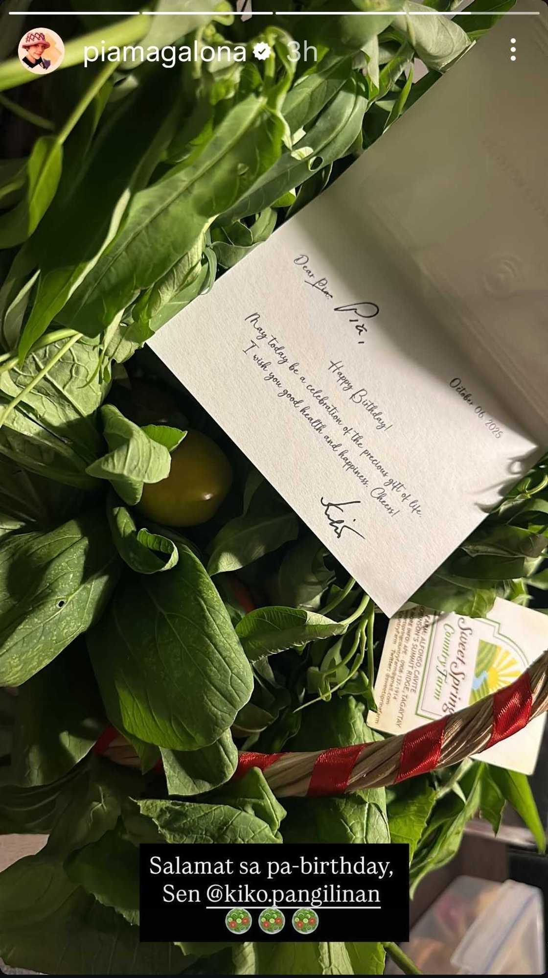 Pia Magalona expresses gratitude to Sen. Kiko Pangilinan for thoughtful birthday gift Pia Magalona expresses gratitude to Sen. Kiko Pangilinan for thoughtful birthday gift