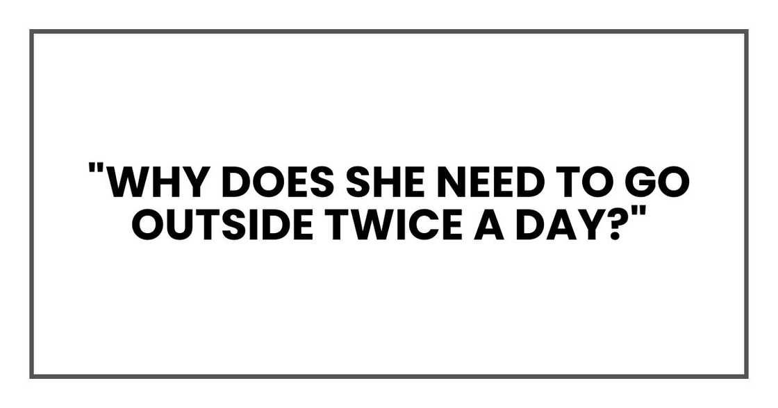 "Why does she need to go outside twice a day?" "Why does she need to go outside twice a day?"