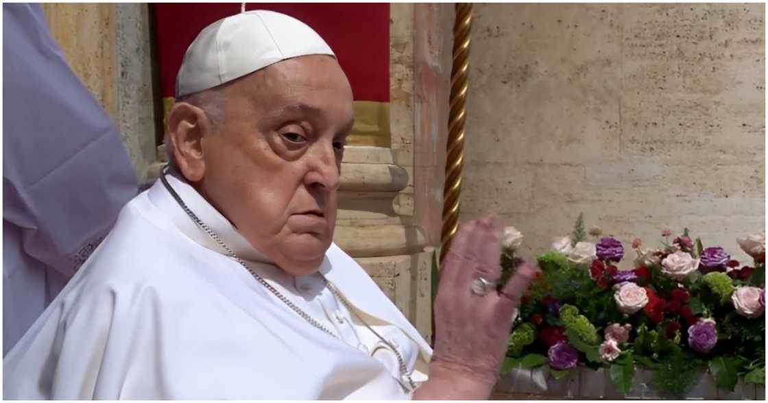 Francis Francis