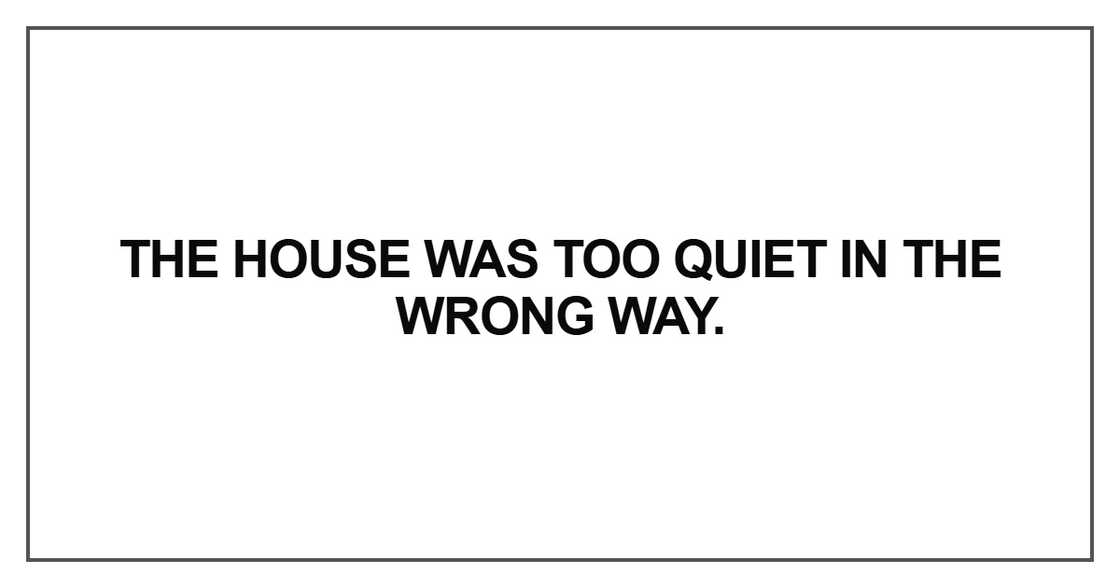 The house was too quiet in the wrong way The house was too quiet in the wrong way
