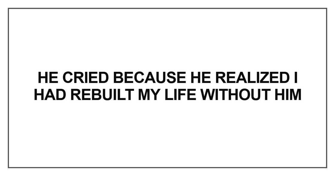 He cried because he realized I had rebuilt my life without him