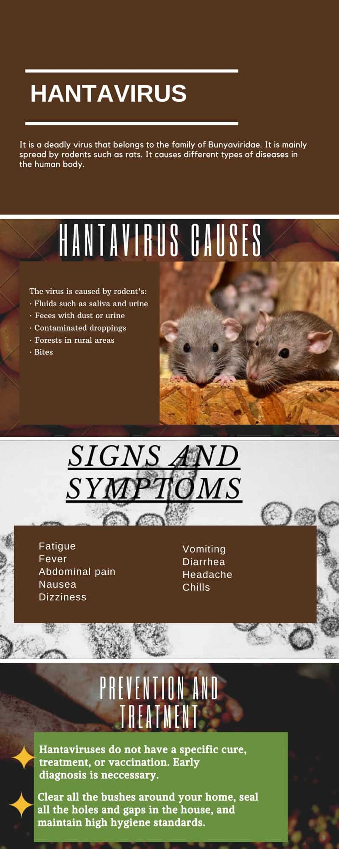 picture of hantavirus