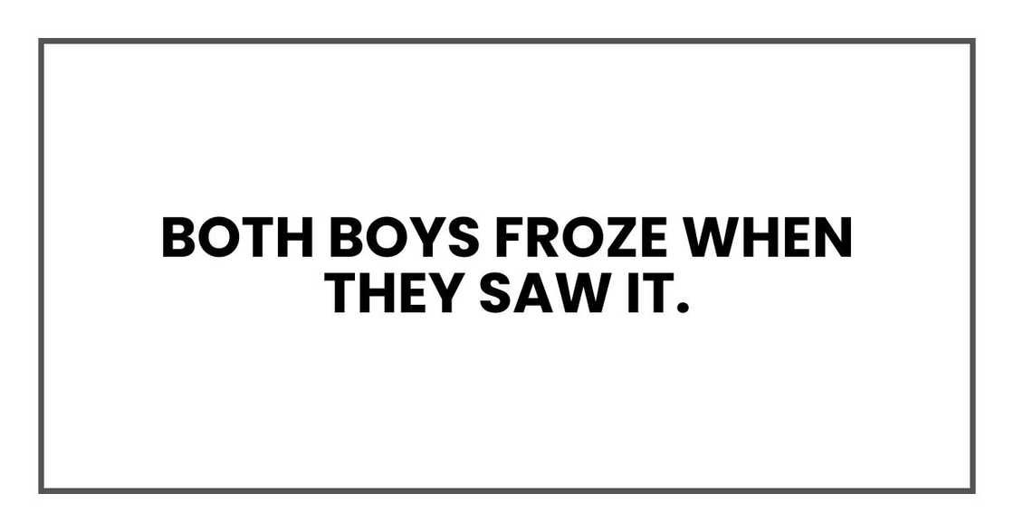 Both boys froze when they saw it. Both boys froze when they saw it.