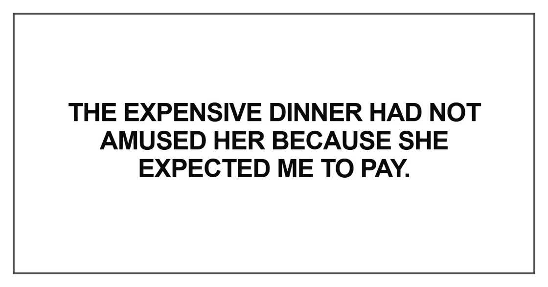 The expensive dinner had not amused The expensive dinner had not amused