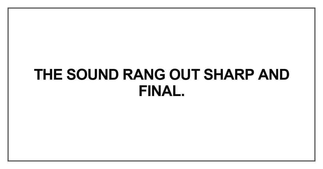 The sound rang out sharp and final The sound rang out sharp and final