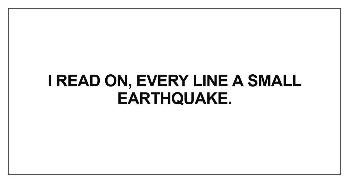 I read on, every line a small earthquake