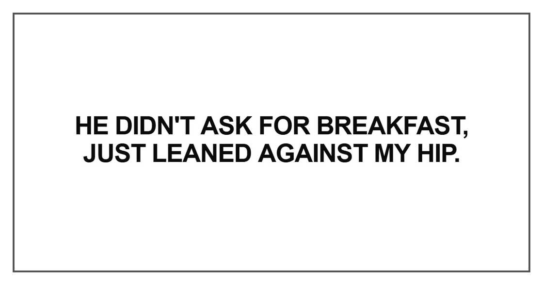 He didn't ask for breakfast, just leaned against my hip He didn't ask for breakfast, just leaned against my hip