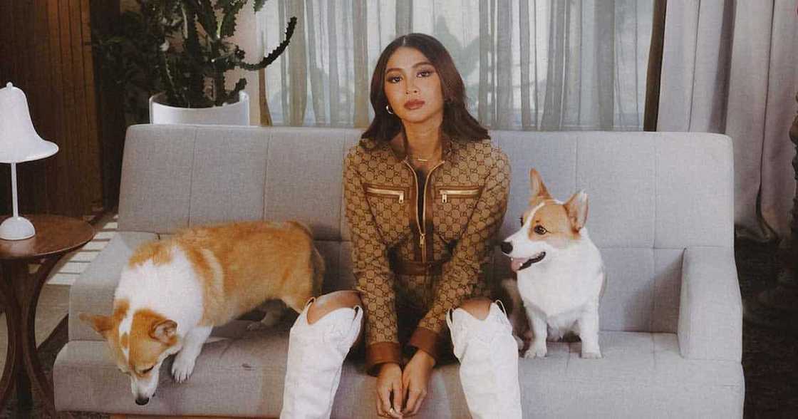 Video ni Nadine Lustre na nagpapakita na magaling na ito sa pagva-vlog kahit noong maliit pa, viral Video ni Nadine Lustre na nagpapakita na magaling na ito sa pagva-vlog kahit noong maliit pa, viral