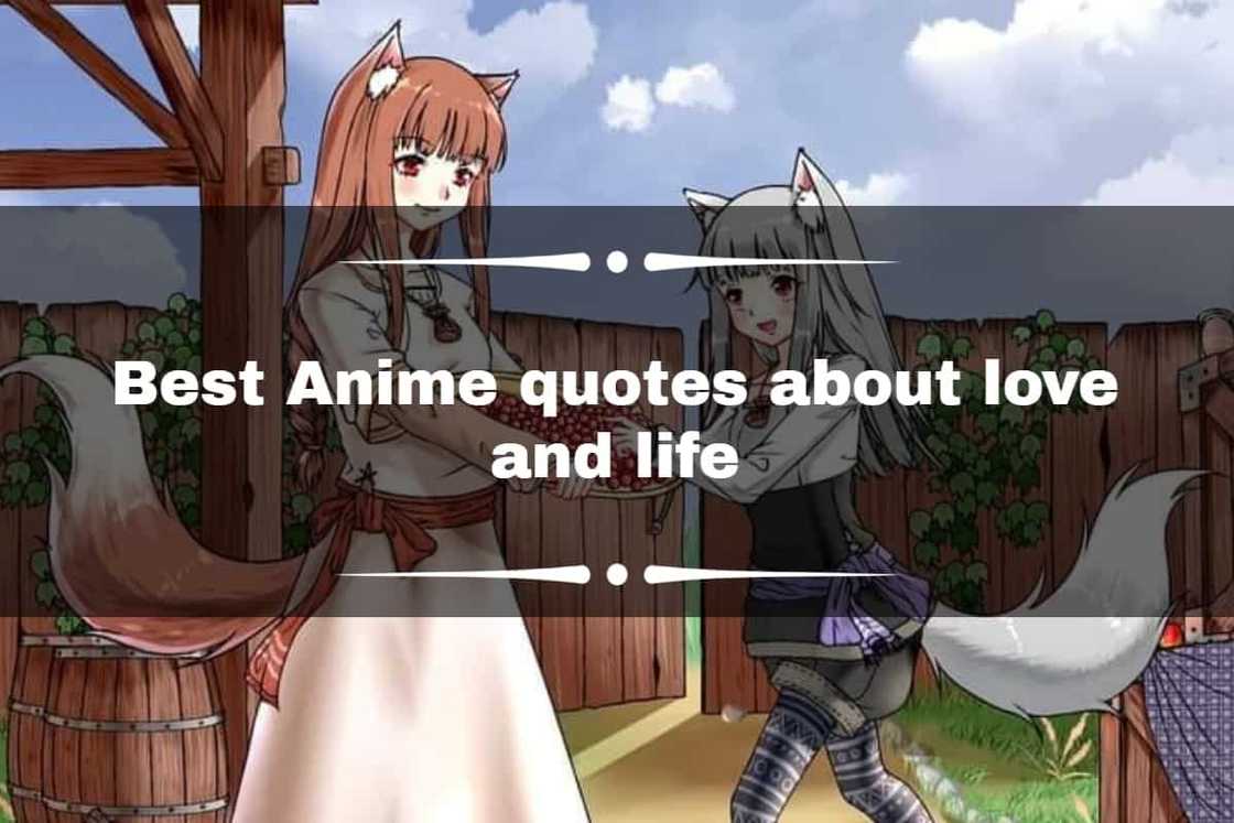 Best Anime quotes about love and life Best Anime quotes about love and life