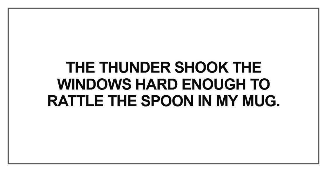 The thunder shook the