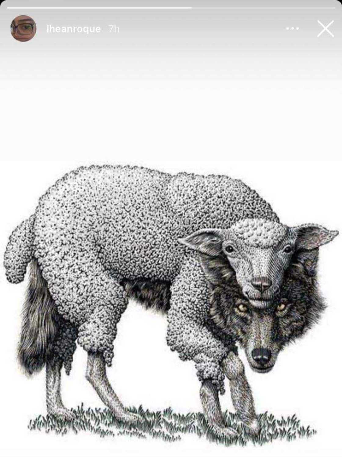 Kapatid ni Dominic Roque, nag-post ng picture na nagpapakita ng 'wolf in sheep's clothing' Kapatid ni Dominic Roque, nag-post ng picture na nagpapakita ng 'wolf in sheep's clothing'