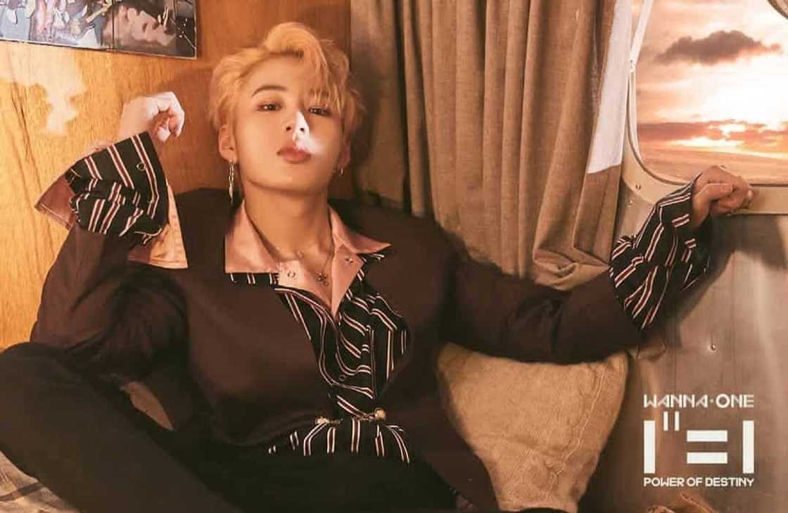 Wanna One members Wanna One members