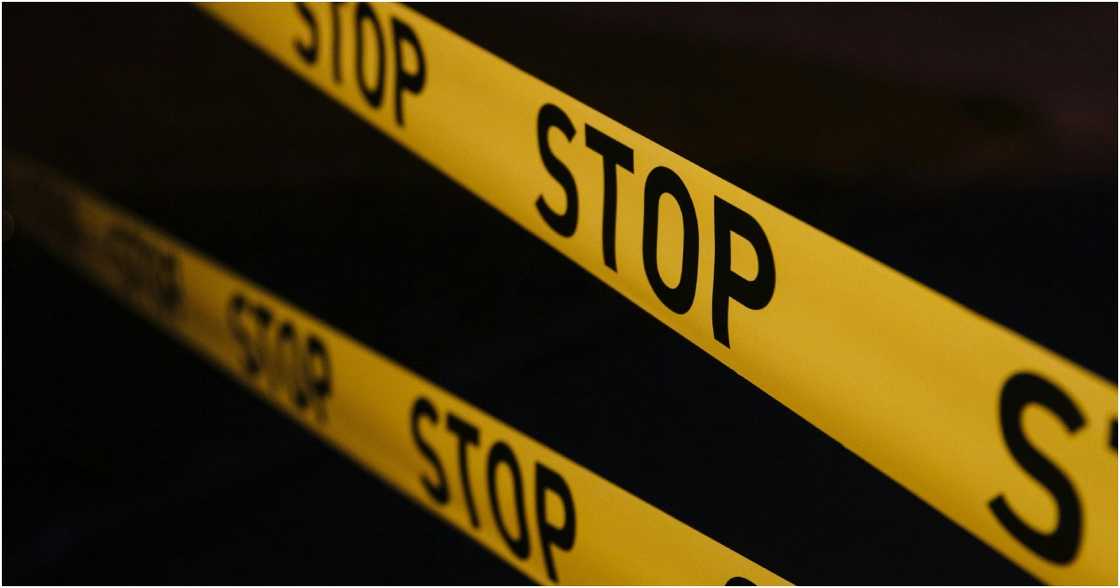 cottonbro studio on Pexels