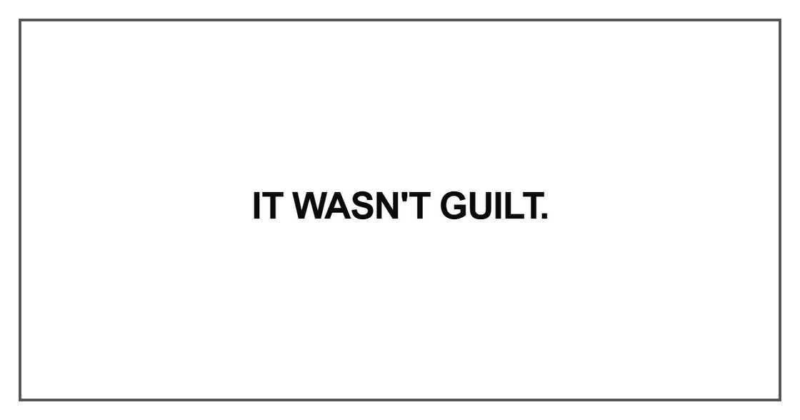 It wasn't guilt. It wasn't guilt.