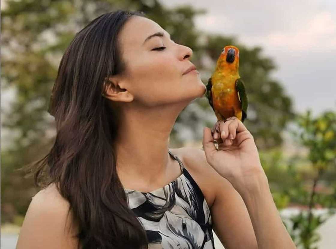 Alessandra De Rossi responds to a netizen and says she is a failure Alessandra De Rossi responds to a netizen and says she is a failure