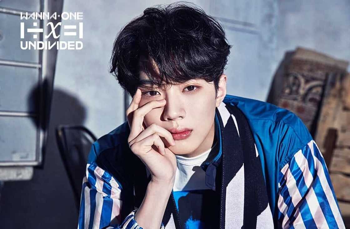 Wanna One members Wanna One members