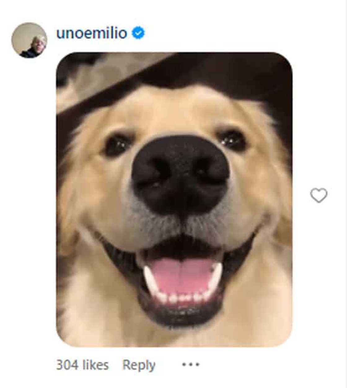 Jake Ejercito Jake Ejercito
