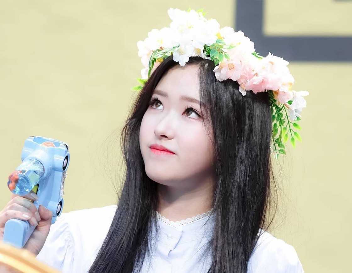 Loona Instagram Loona Instagram