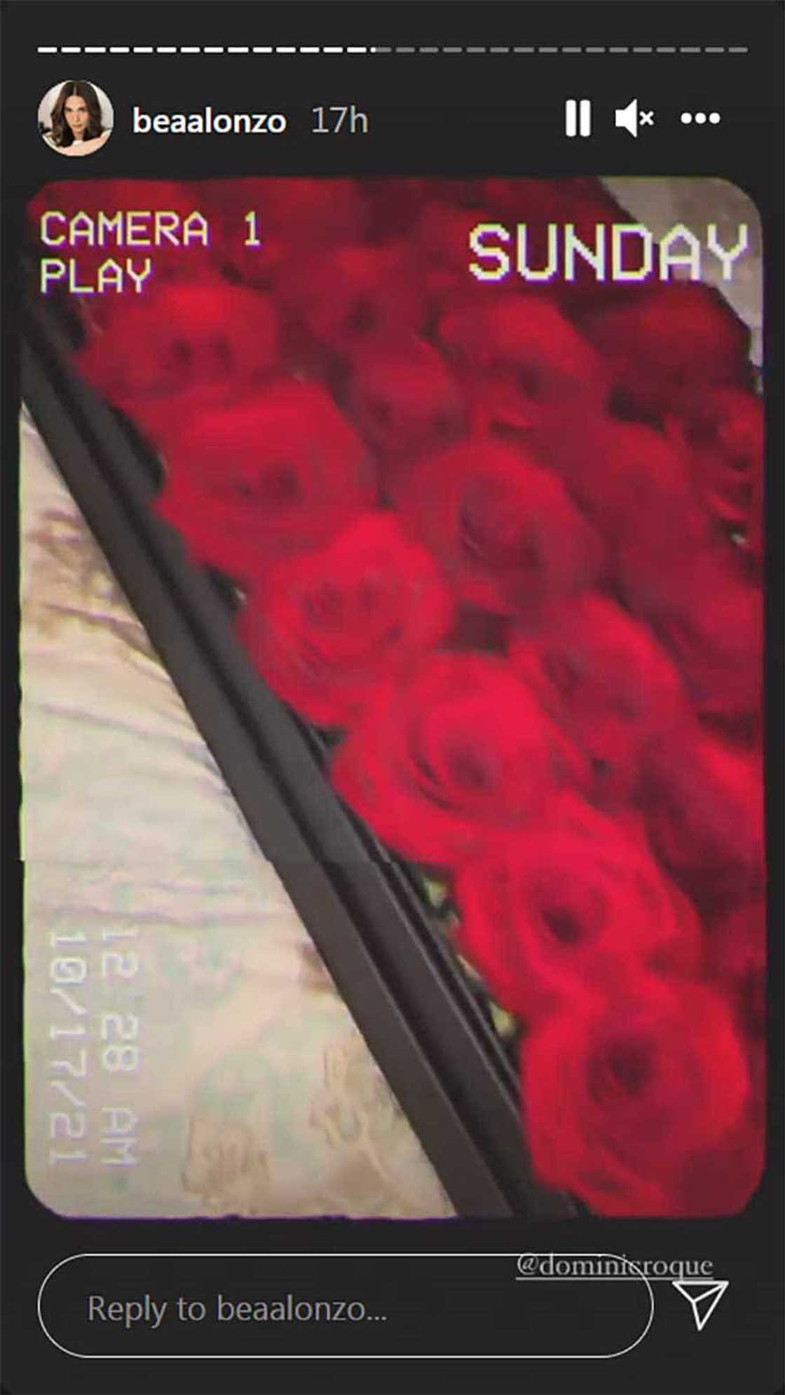Bea Alonzo, ibinida ang bongga at malaking box ng roses na regalo ni Dominic Roque sa kanya Bea Alonzo, ibinida ang bongga at malaking box ng roses na regalo ni Dominic Roque sa kanya