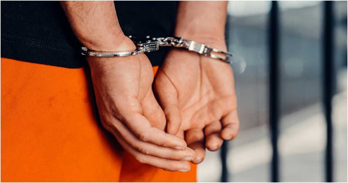 Kindel Media on Pexels