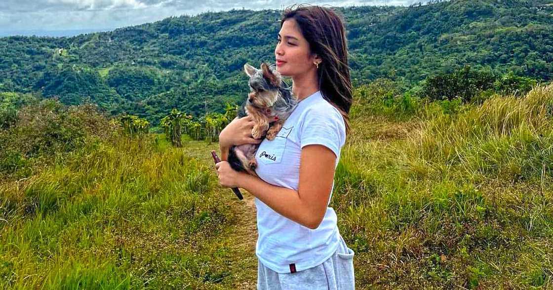 Heaven Peralejo, nag-post ng pic na nagpapakitang tila sinusuyo siya ng unggoy: “I think I found my soulmate” Heaven Peralejo, nag-post ng pic na nagpapakitang tila sinusuyo siya ng unggoy: “I think I found my soulmate”