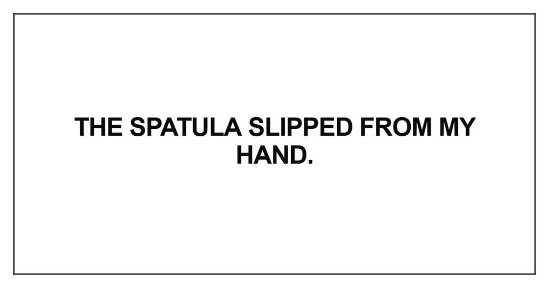 The spatula slipped from my hand
