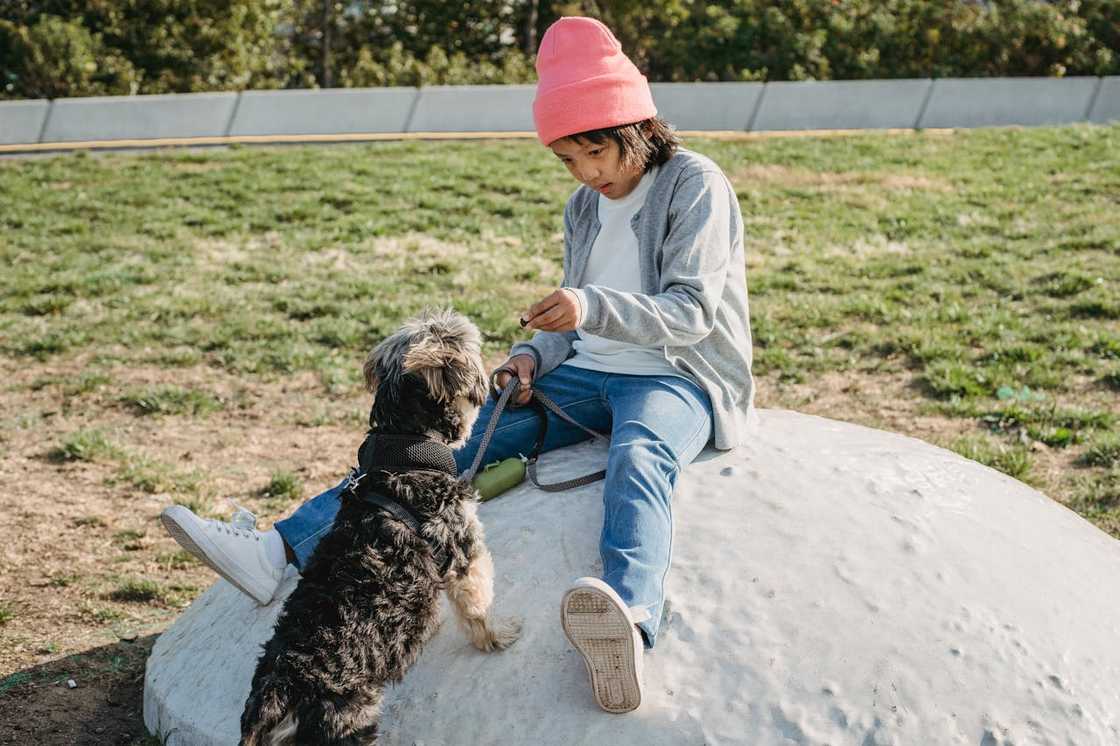 A child sitting on a large rock holds out a treat to a small dog.