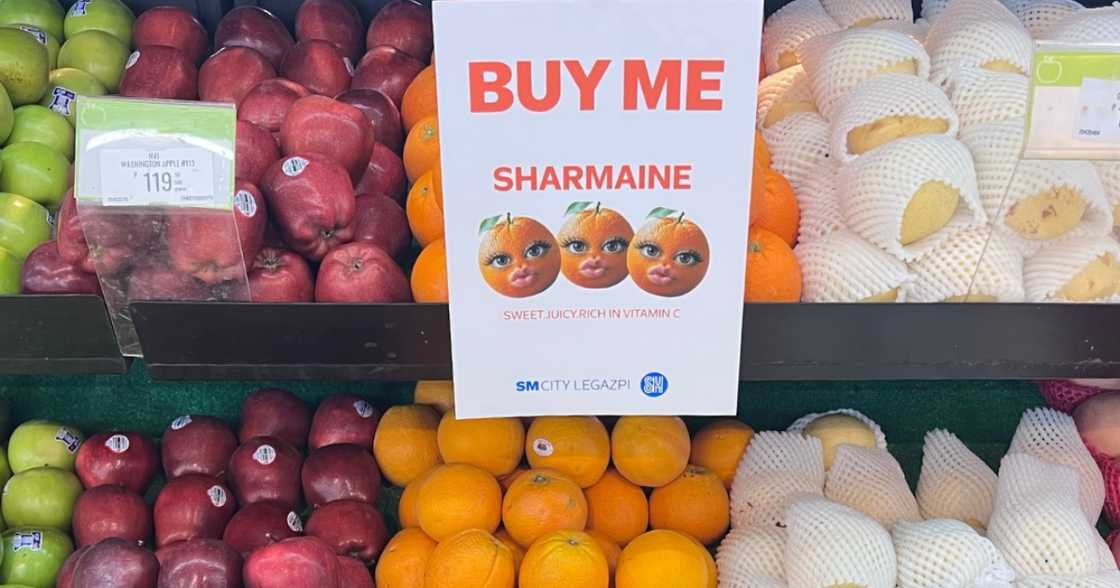 SM Legazpi, nakisakay sa viral na “Sharmaine” at may dagdag pang pasabog