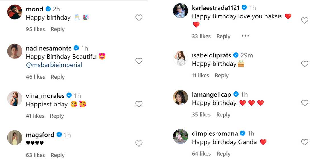 Raymond Gutierrez, nag-comment sa post ni Barbie Imperial ukol sa birthday party niya