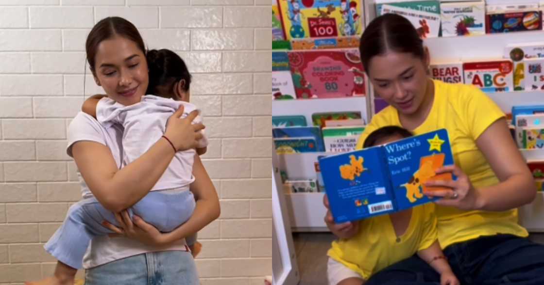 maja salvador