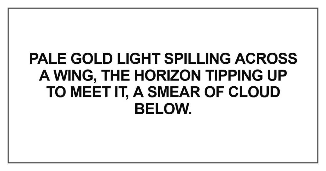 Pale gold light spilling across a wing, the horizon