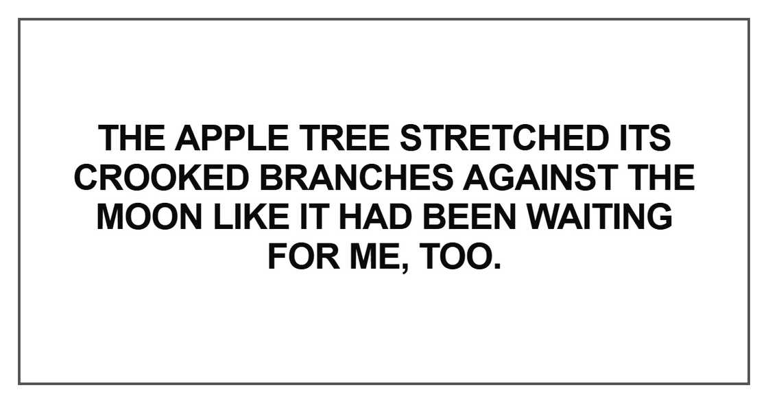 The apple tree stretched its crooked