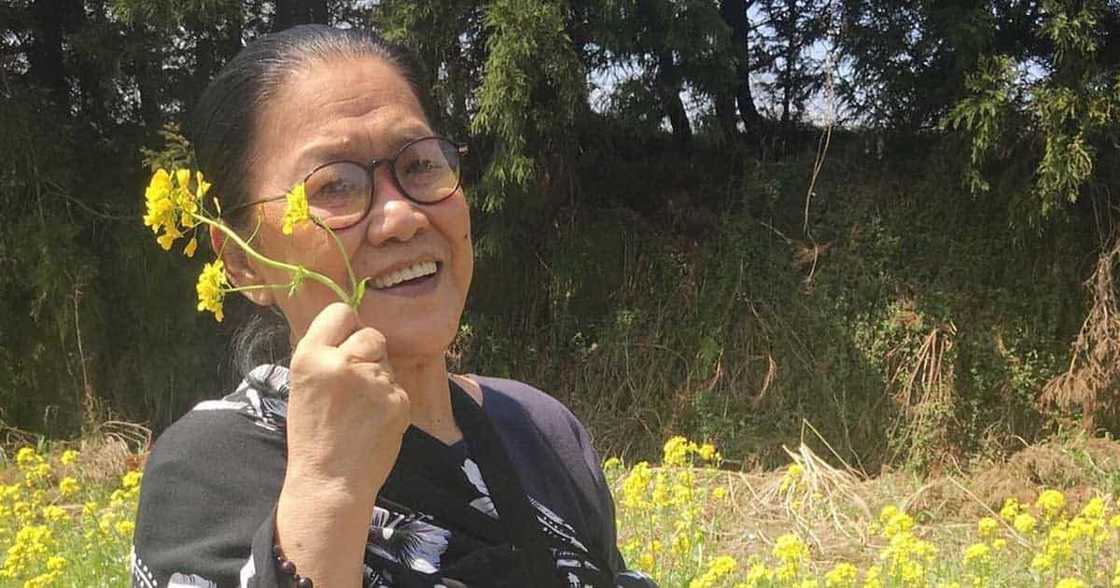 Lolit Solis, nagbigay ng kanyang opinyon ukol sa nangyari sa Alaska Aces: “Sad day sa mga Alaska fans” Lolit Solis, nagbigay ng kanyang opinyon ukol sa nangyari sa Alaska Aces: “Sad day sa mga Alaska fans”