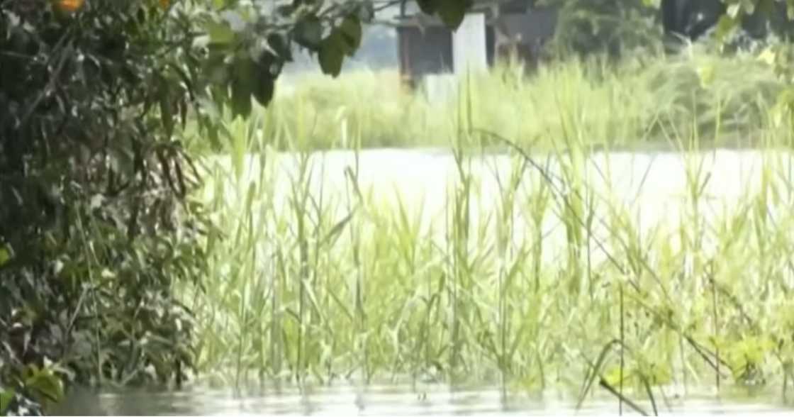Lalaki, nasawi matapos tumaas ang tubig sa irrigation canal sa La Union Lalaki, nasawi matapos tumaas ang tubig sa irrigation canal sa La Union