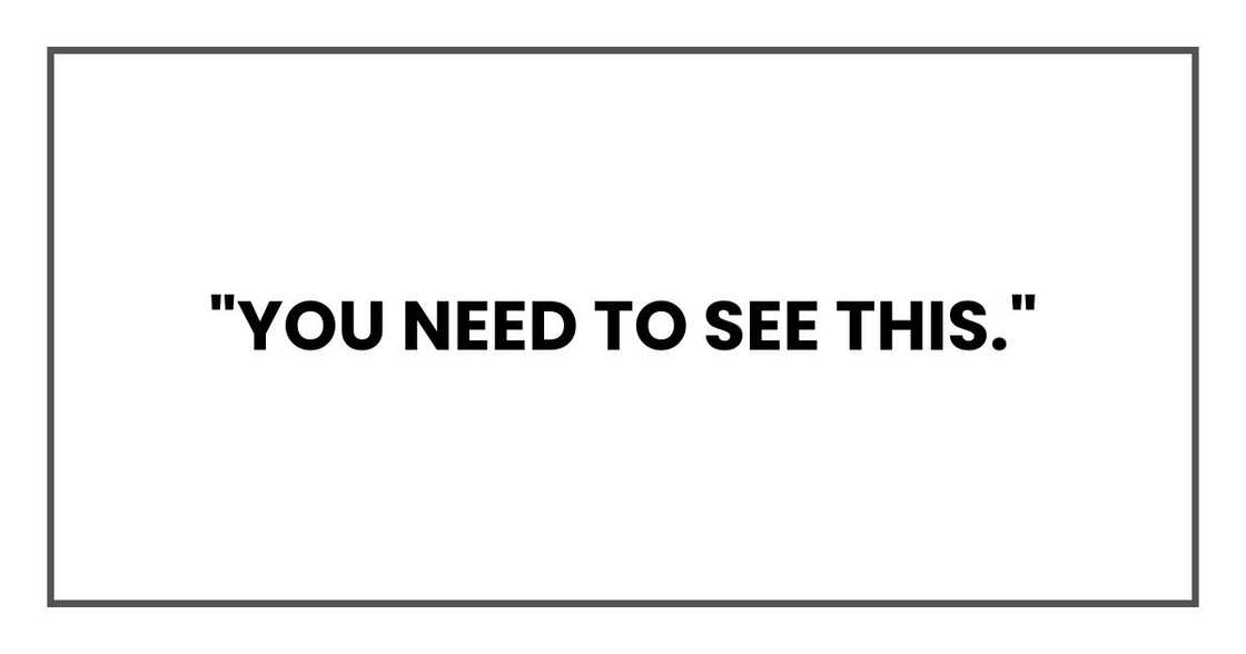 "you need to see this."