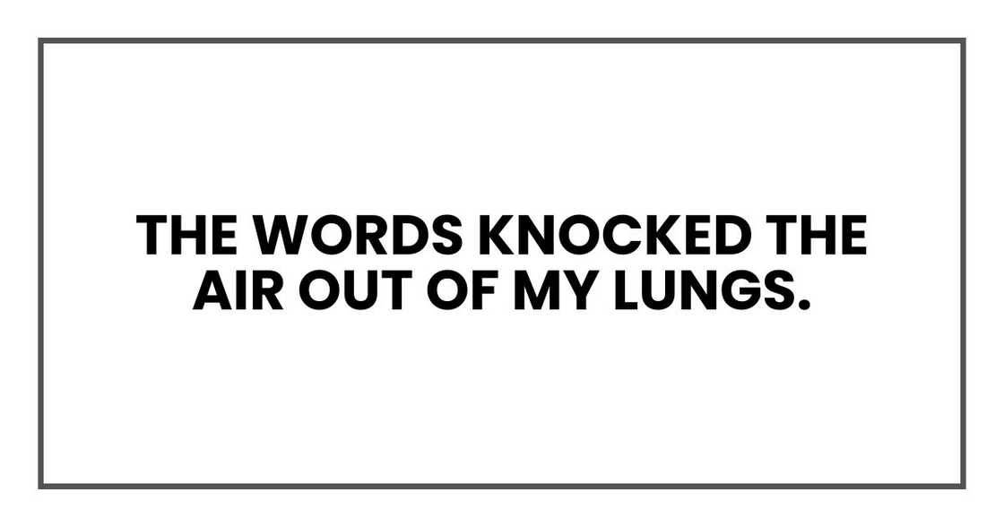The words knocked the air out of my lungs. The words knocked the air out of my lungs.